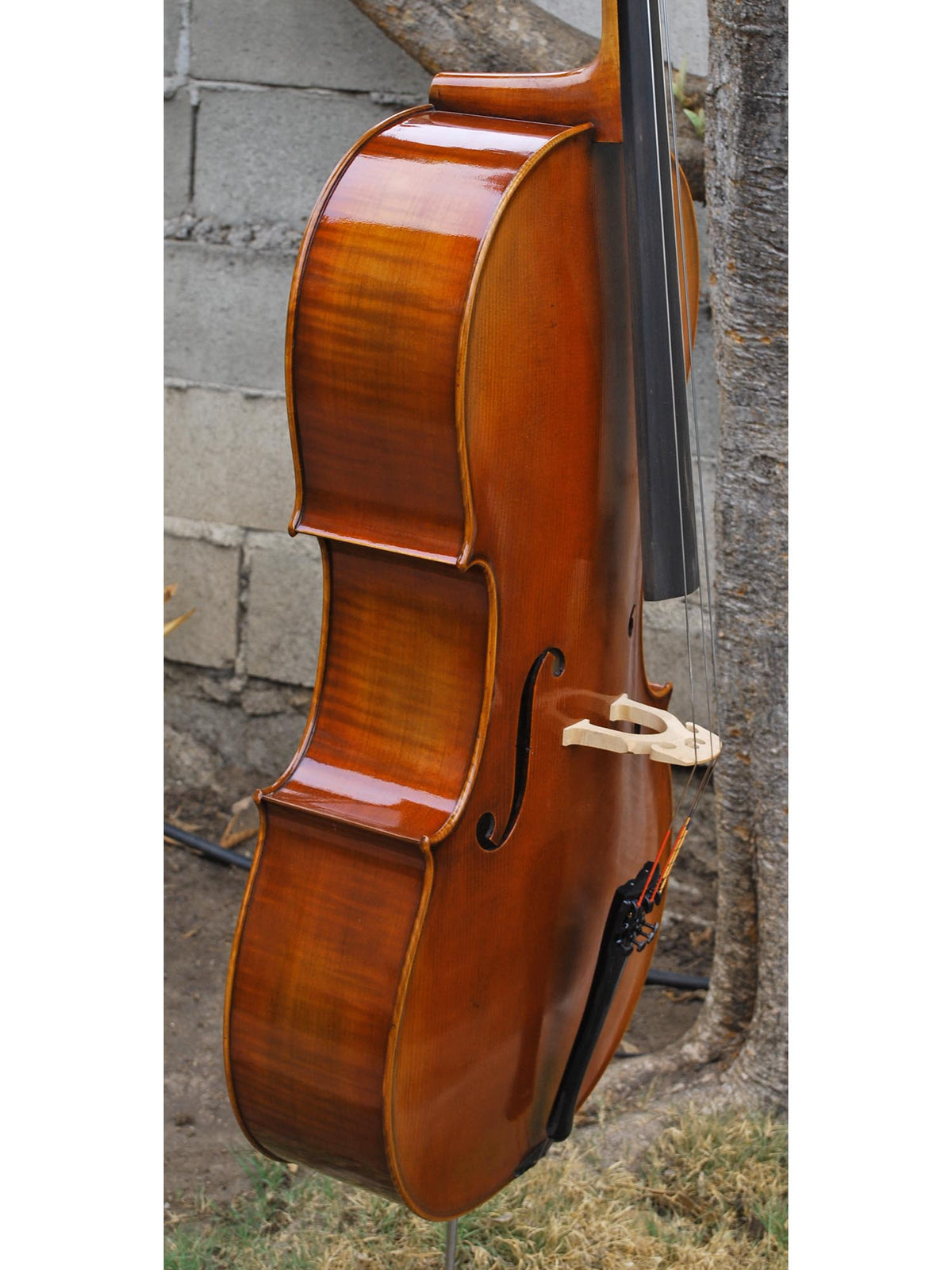Hans Werner 725 'Master' 4/4 Cello