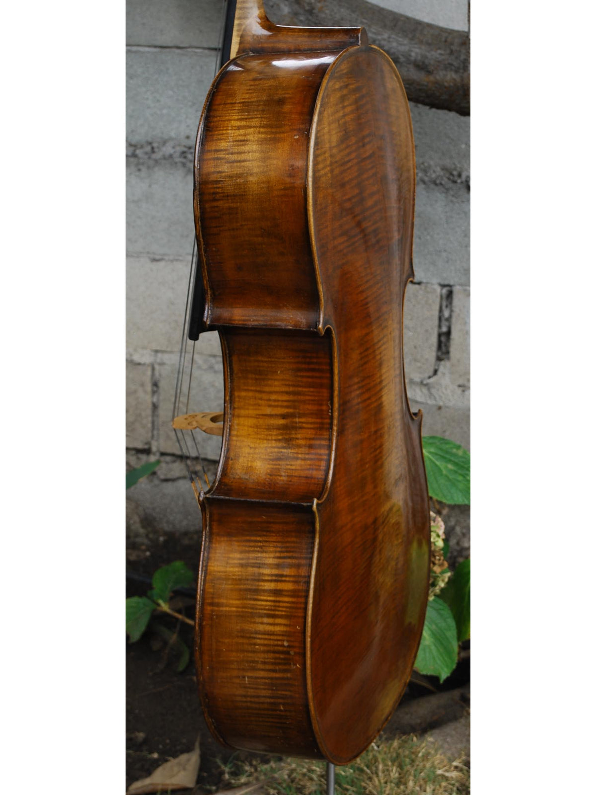 John Juzek Master Art 4/4 CELLO