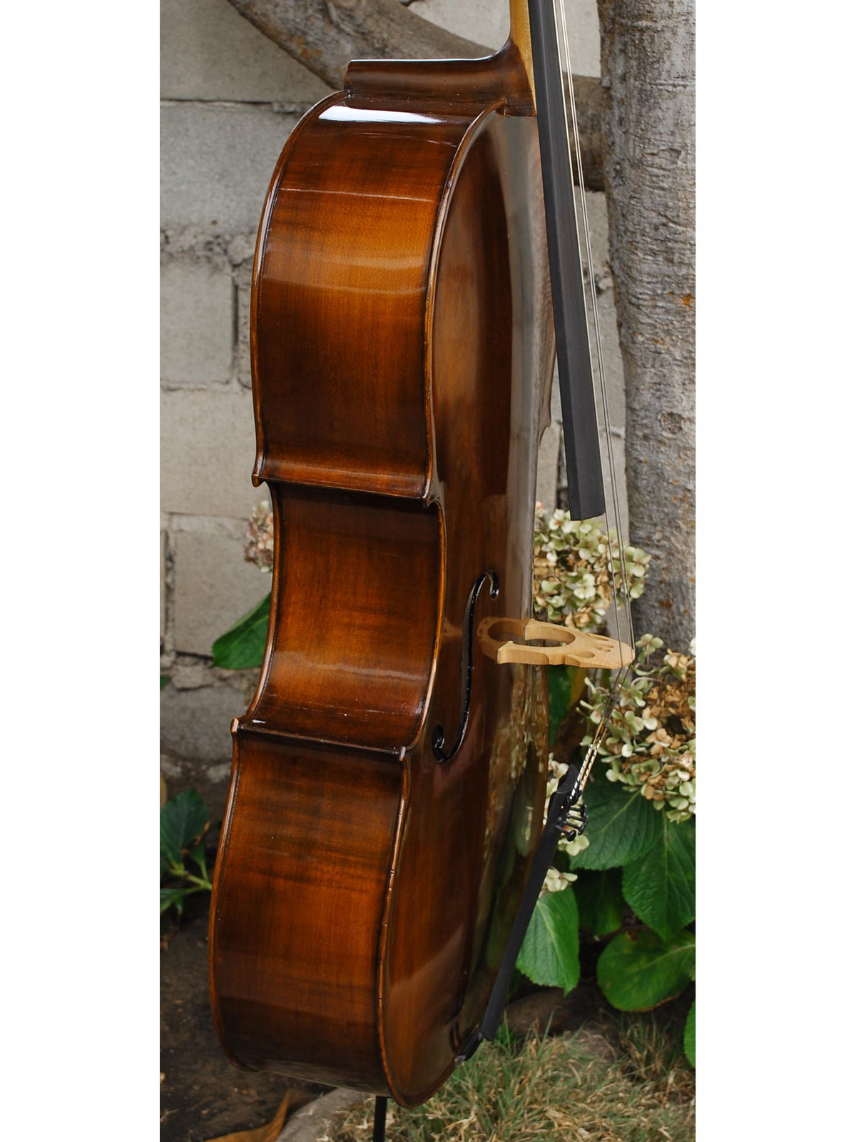 Eastman model 305 'Strad'  - 4/4 Cello (A)