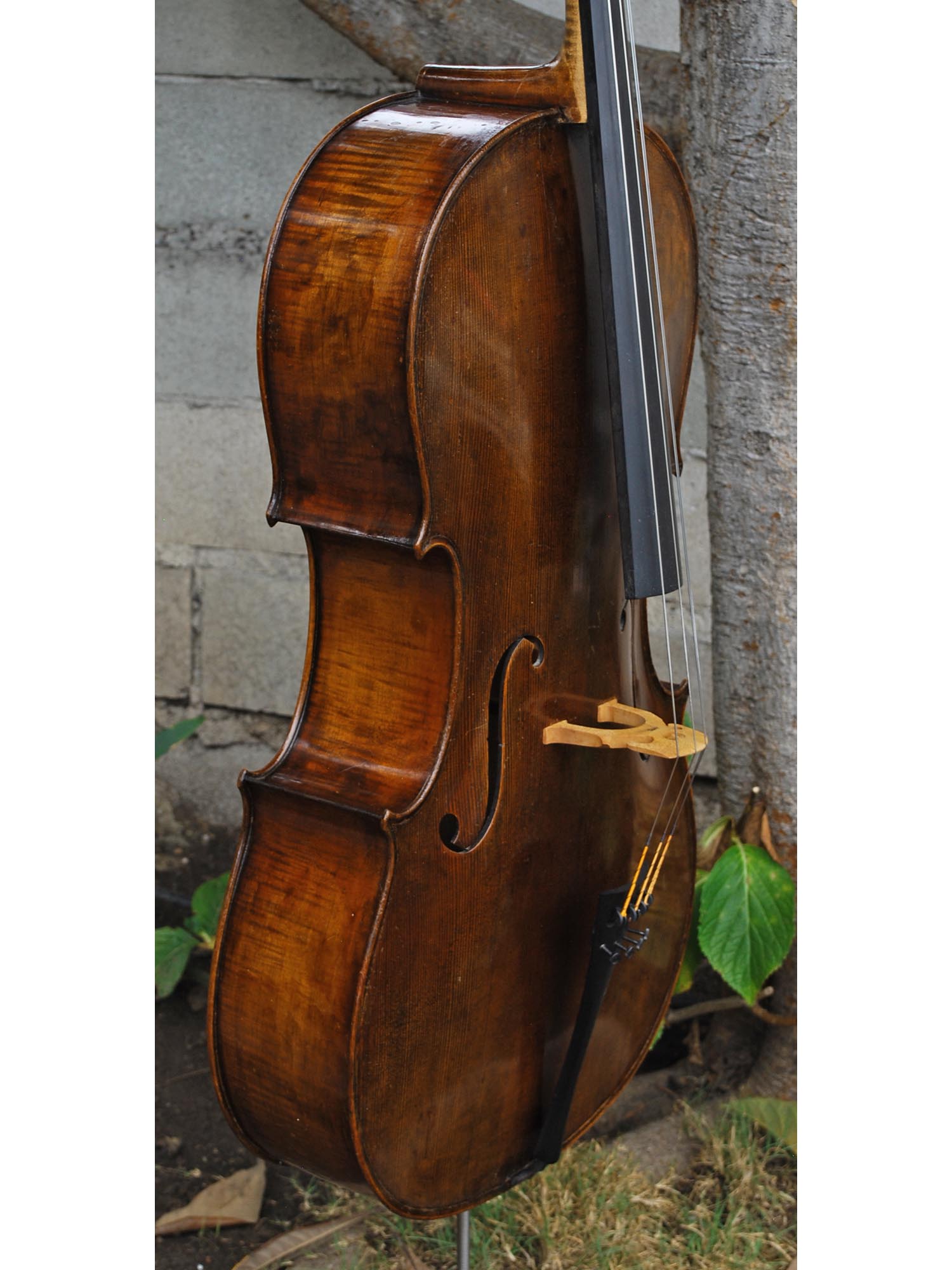 John Juzek Master Art 4/4 CELLO