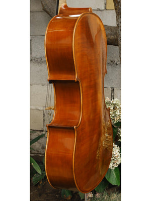 Nicholas Baciu #5 7/8 Cello (Romania) (121584)