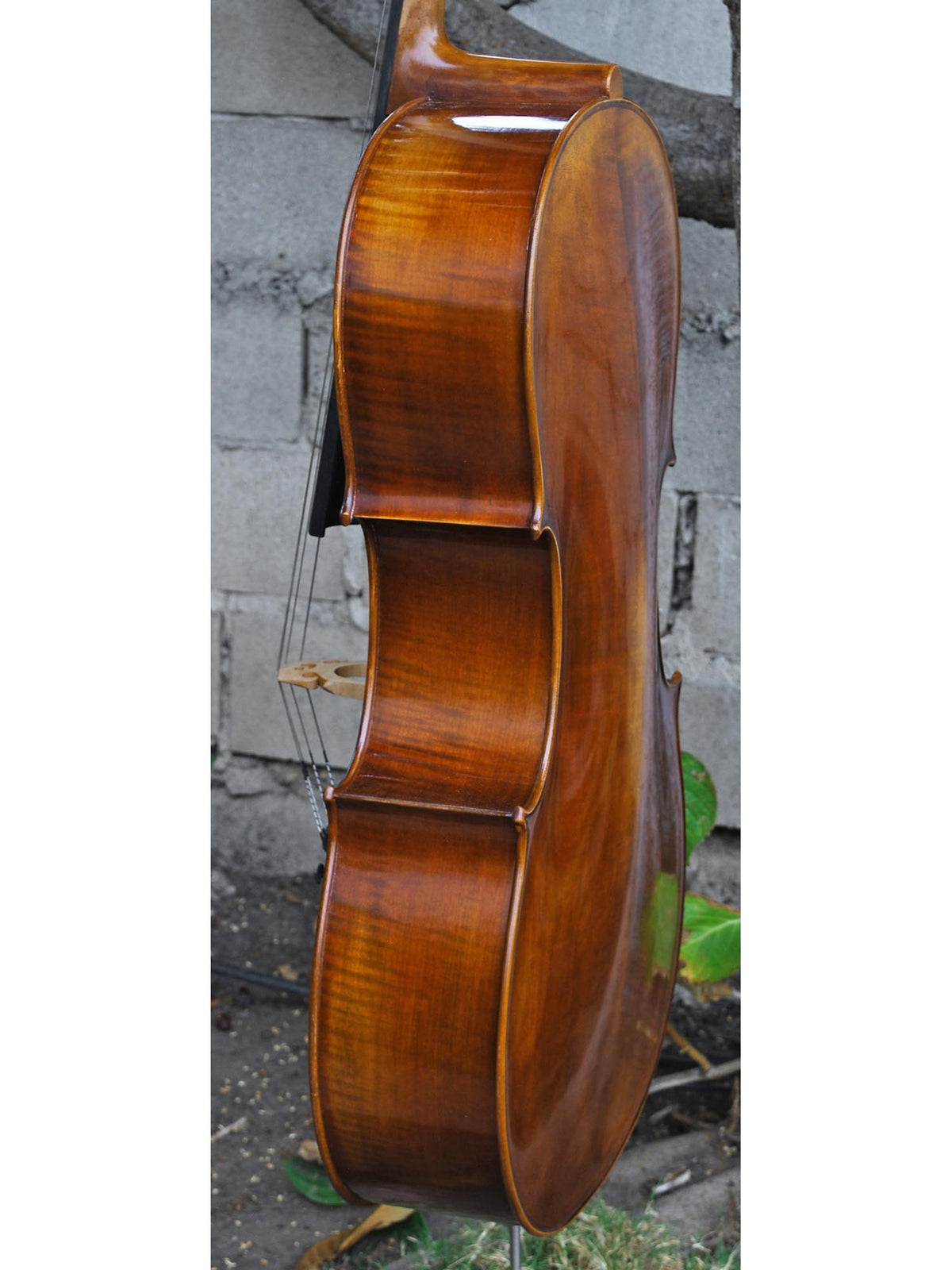 Vivo model 400 Strad 4/4 Cello (B)