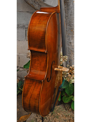 Ivan Dunov model 401 'Strad'  - 4/4 Cello (B)