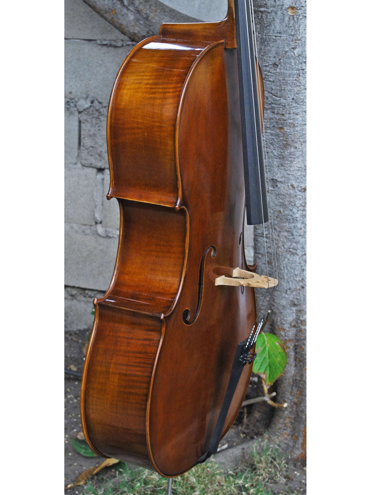 Vivo model 400 Strad 4/4 Cello (B)
