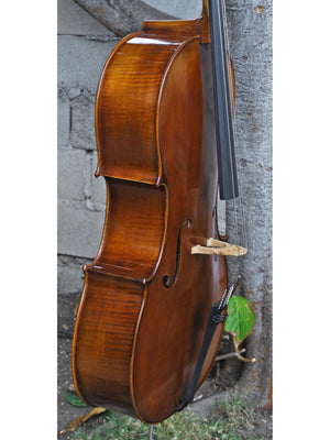 Vivo model 400 Strad 4/4 Cello (B)