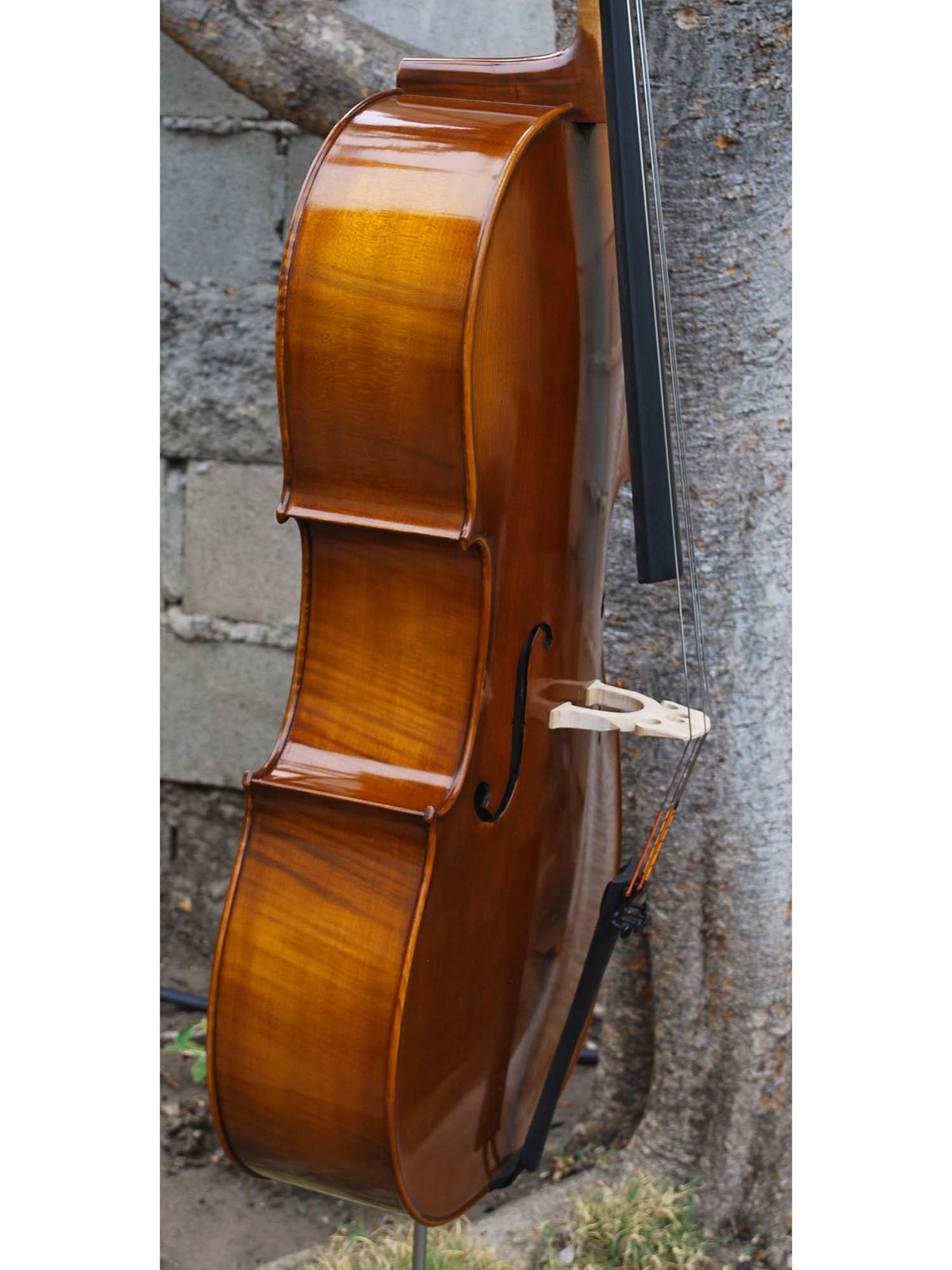 C.L. Wynn 520 'Strad' 7/8 Cello (0726)