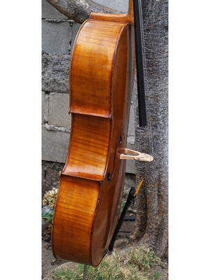 J.W. Schult early 20th Century - 4/4 Cello