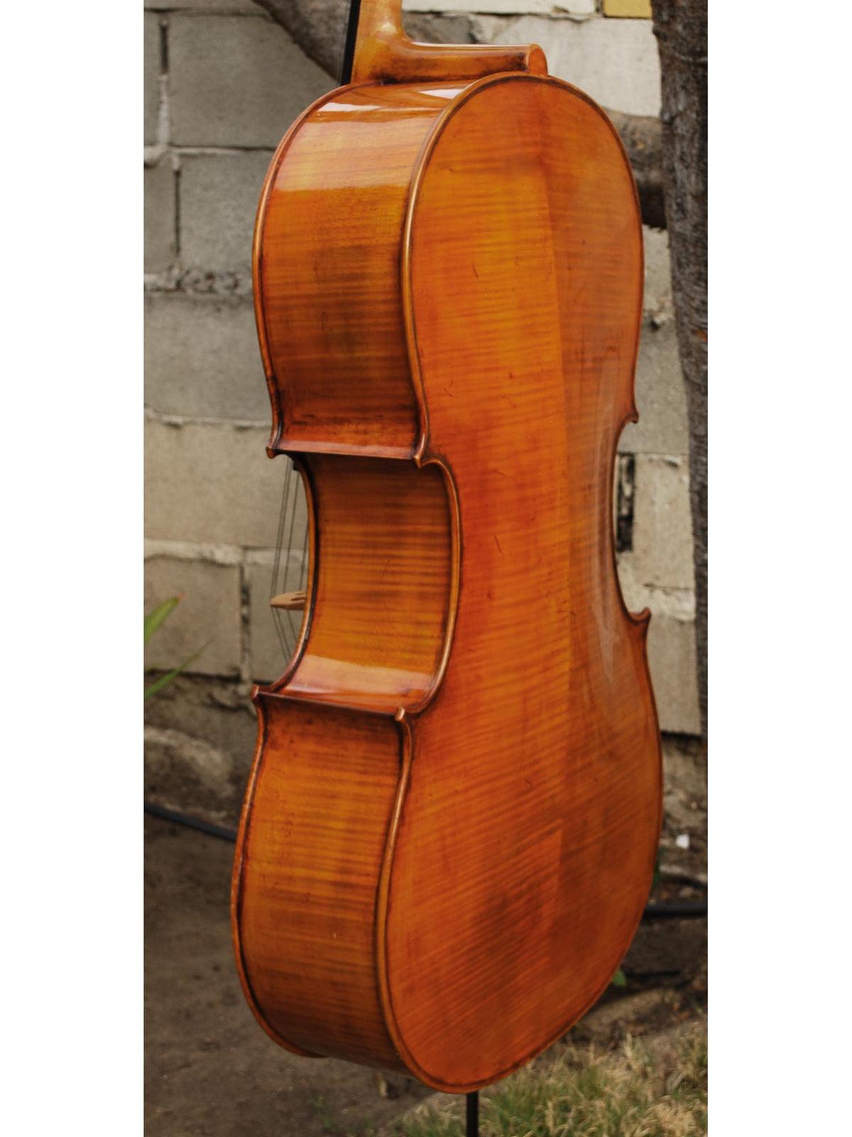 Raul Emiliani model 928 'Stradivari' 4/4 Cello