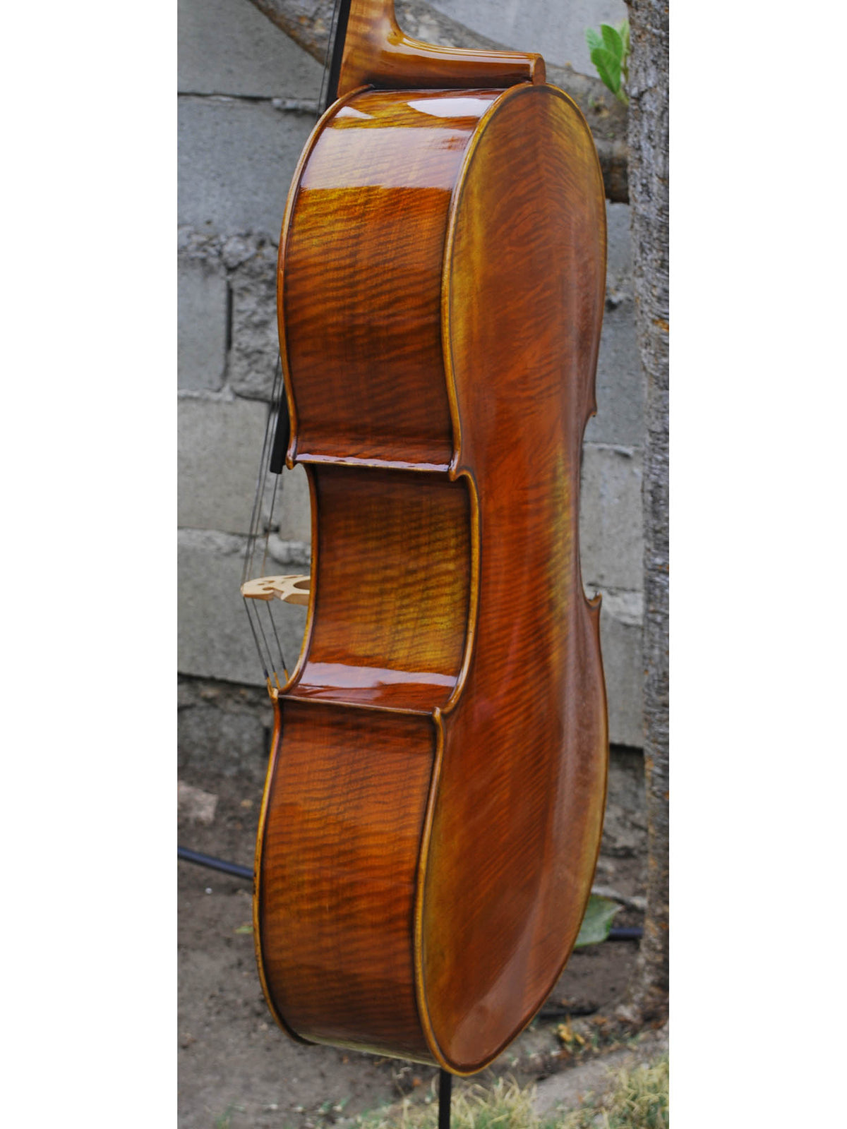 Antonio Fiorini 650 'Stradivari' - 7/8 Cello