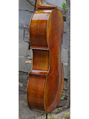 Antonio Fiorini 650 'Stradivari' - 7/8 Cello