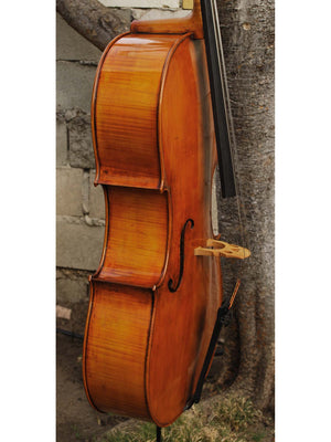 Raul Emiliani model 928 'Stradivari' 4/4 Cello