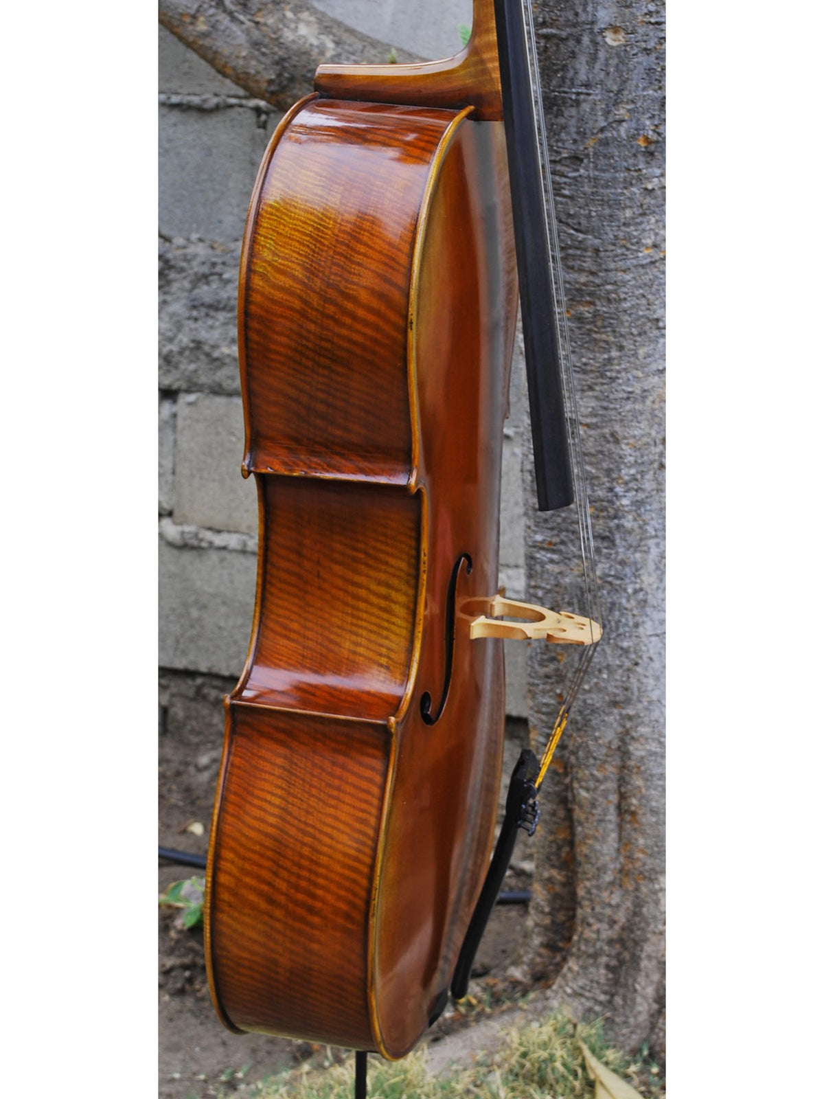 Antonio Fiorini 650 'Stradivari' - 7/8 Cello