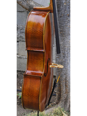 Antonio Fiorini 650 'Stradivari' - 7/8 Cello