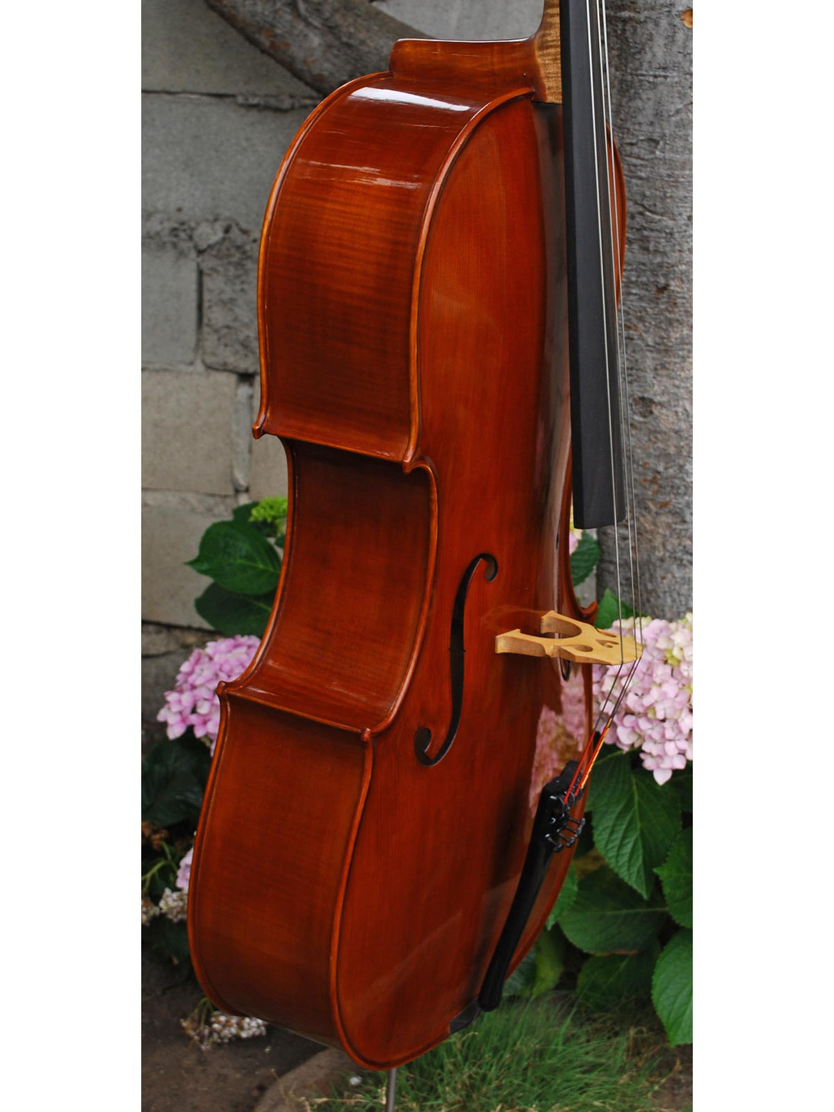 Nicholas Baciu #5 7/8 Cello (Romania) (121594)