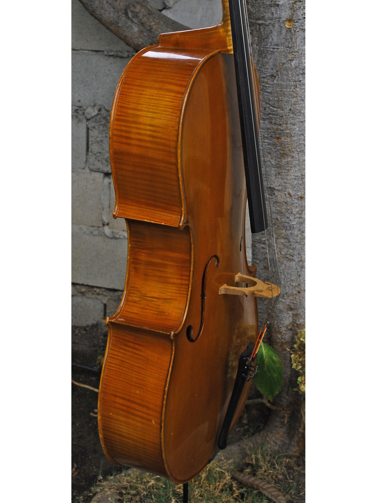 20th Century German - 4/4 Cello