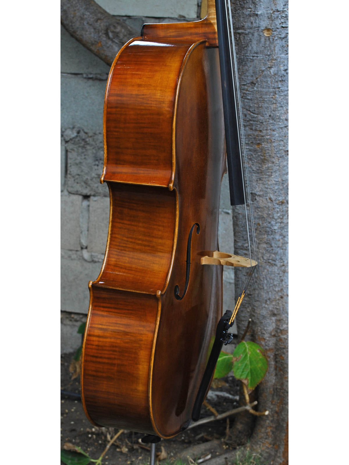 Vivo Guadagnini 1777 'Simpson' Replica 4/4 Cello (25097)