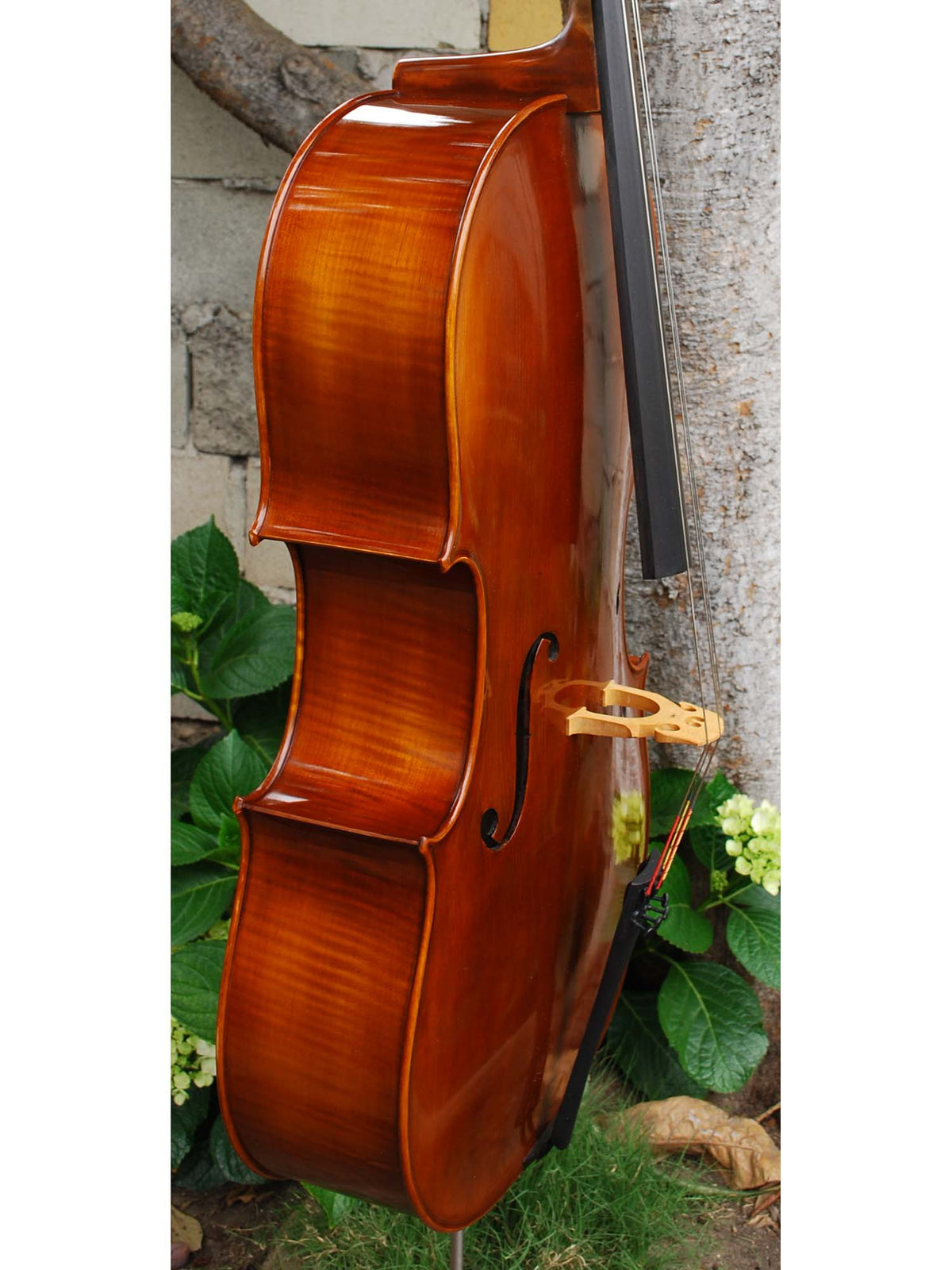 C.L. Wynn 520 'Montagnana' - 4/4 Cello