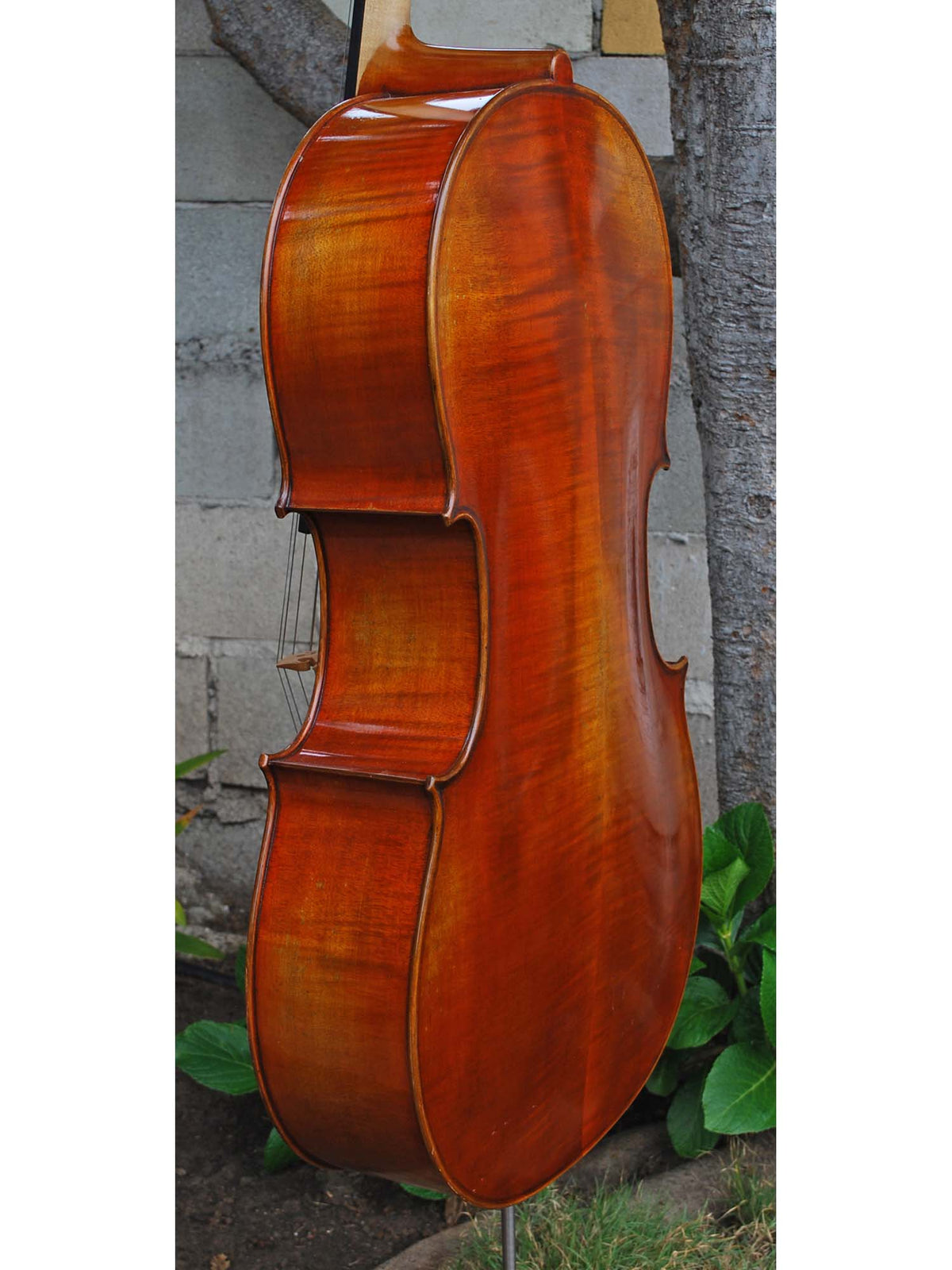 Vivo Limited 7/8 Cello