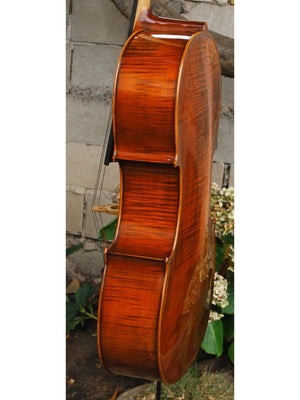 Ivan Dunov model 401 'Strad'  - 4/4 Cello (A)