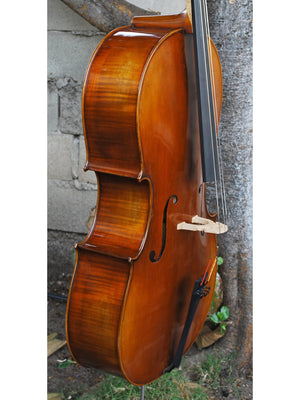 Vivo Limited Eurowoods 'Stradivari' 4/4 Cello