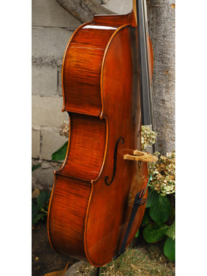 Ivan Dunov model 401 'Strad'  - 4/4 Cello (A)