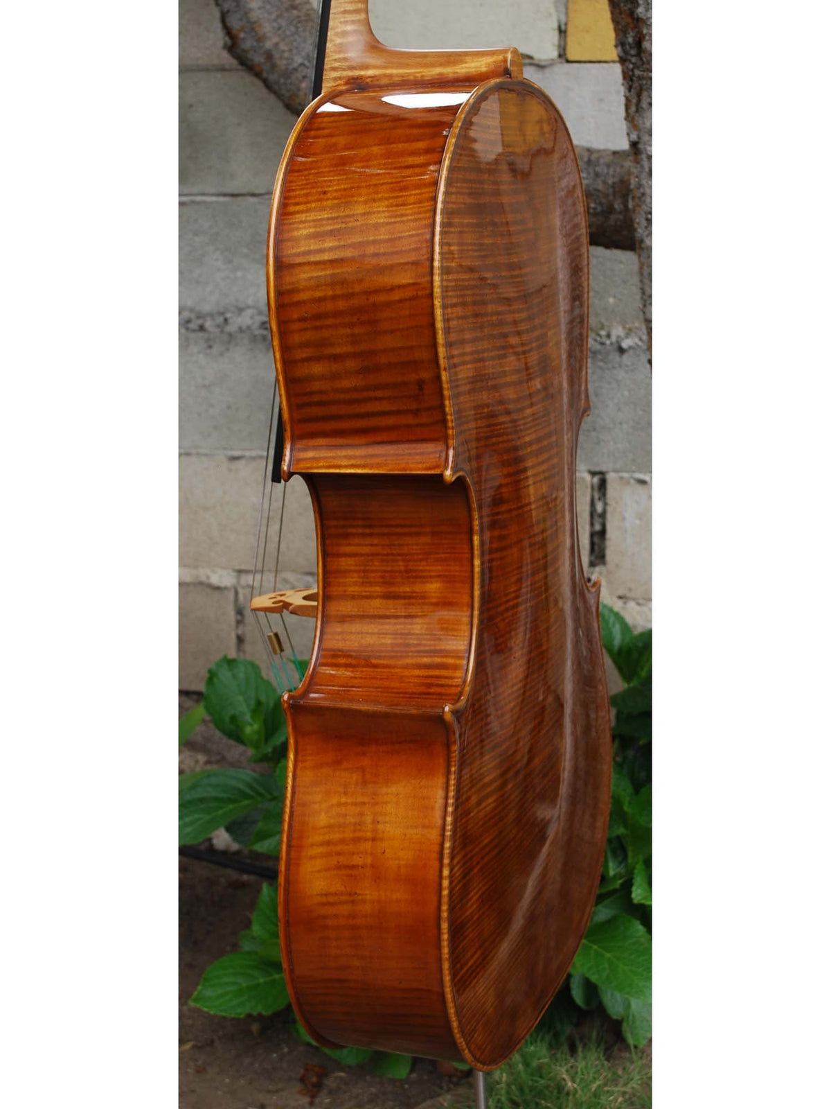 Wojciech Topa Master 4/4 Cello