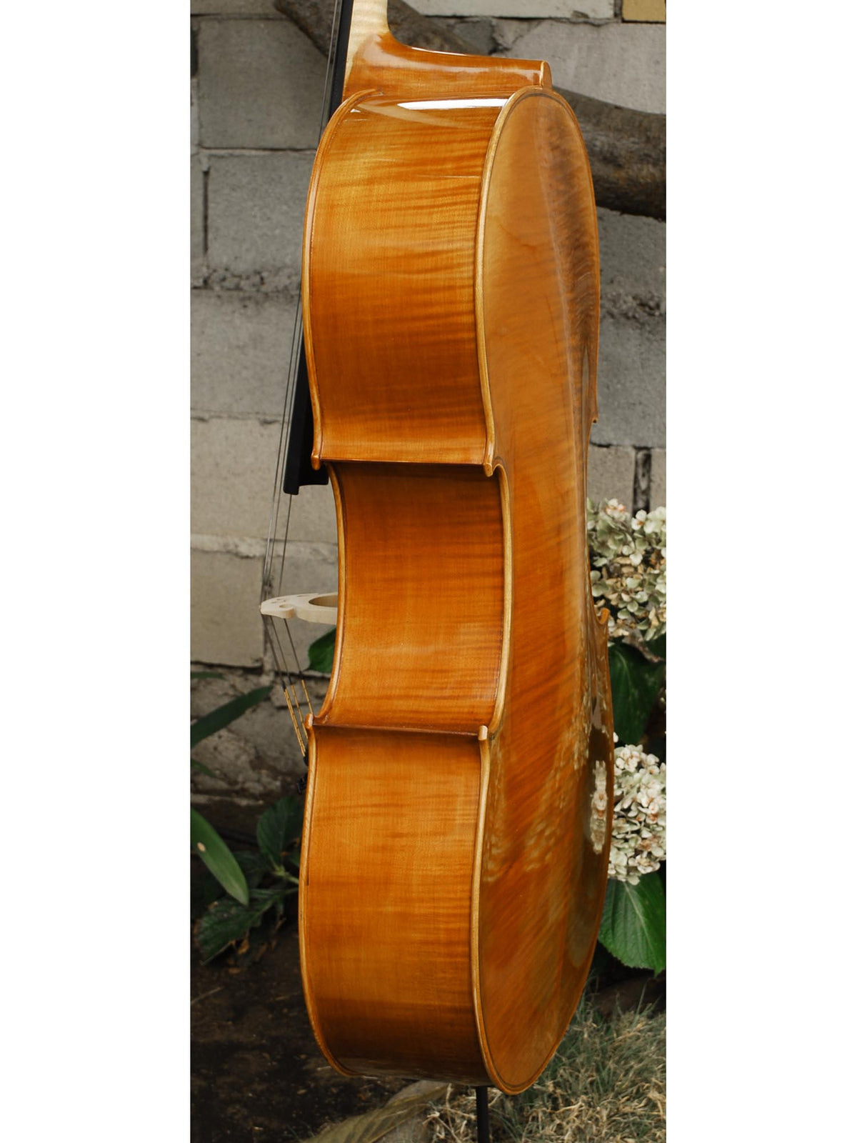 Calin Wultur model #6 'Guarneri' 4/4 Cello