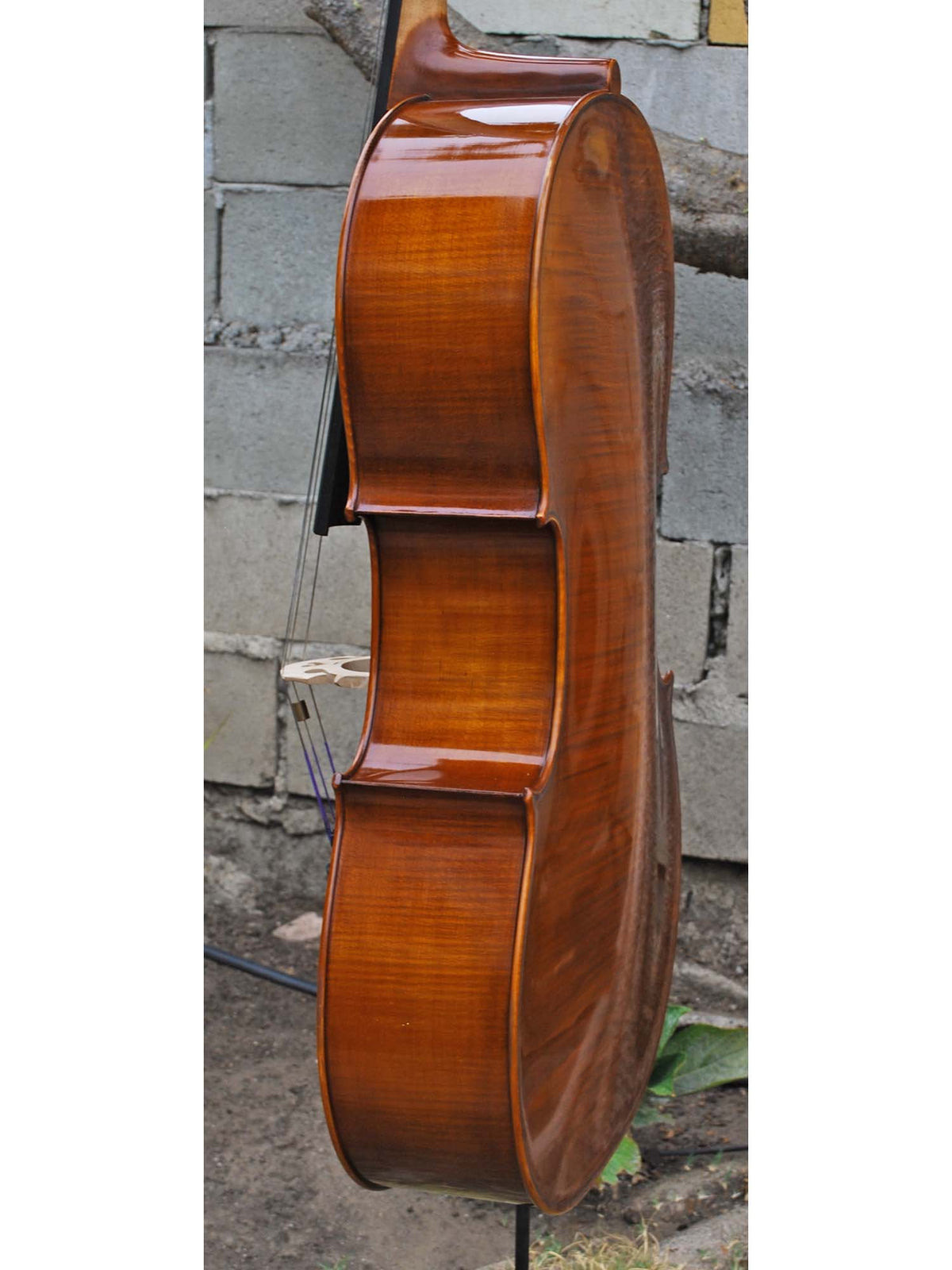 C.L. Wynn 520 'Strad' 7/8 Cello