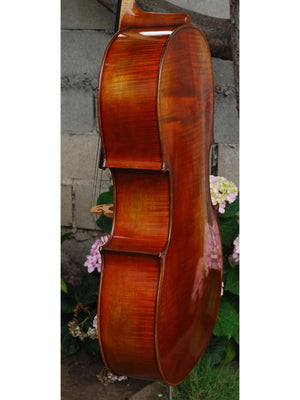 Vivo Limited 7/8 Cello
