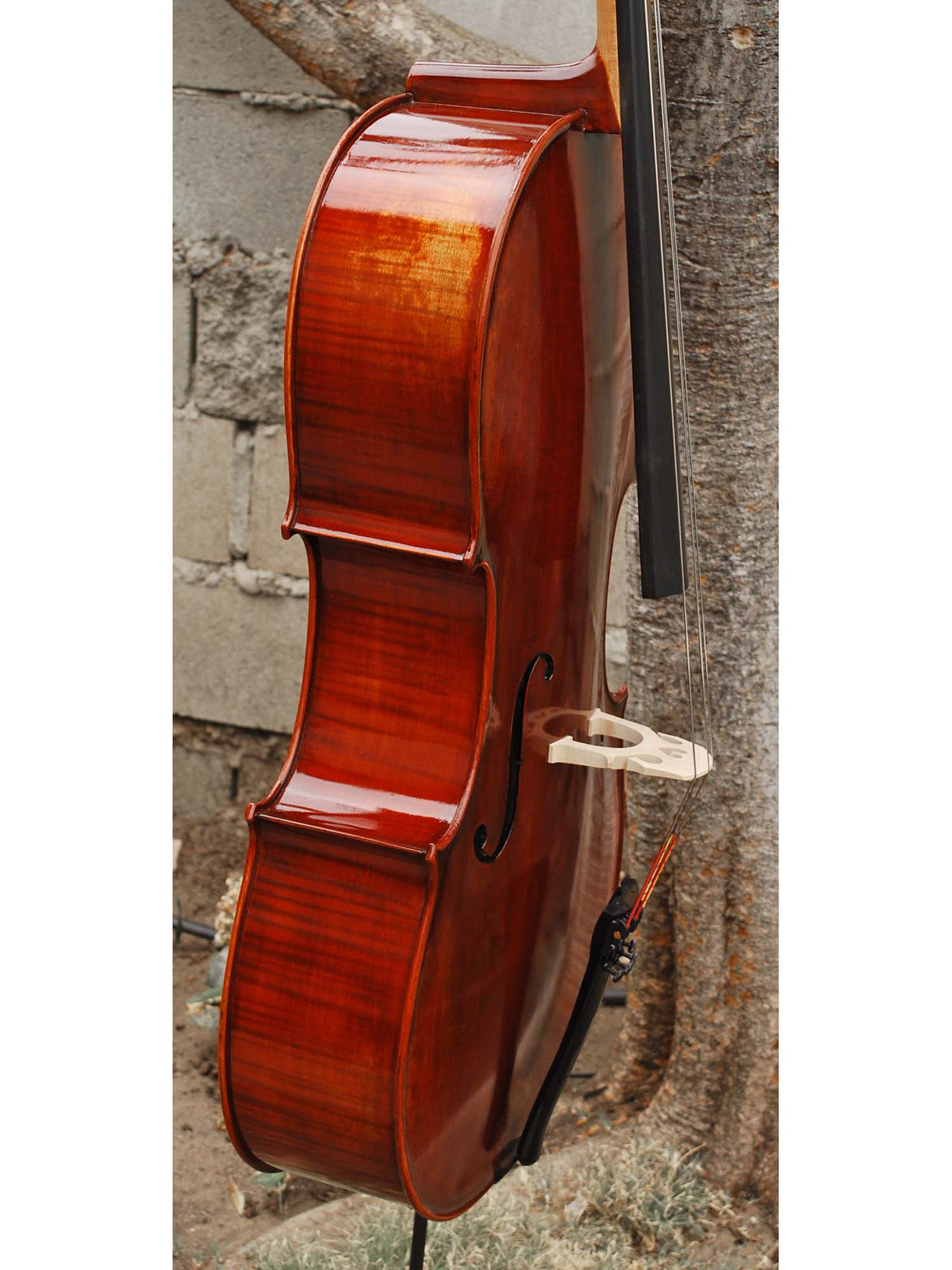 Jean-Pierre Lupot 'Strad' model 501 - 7/8 Cello