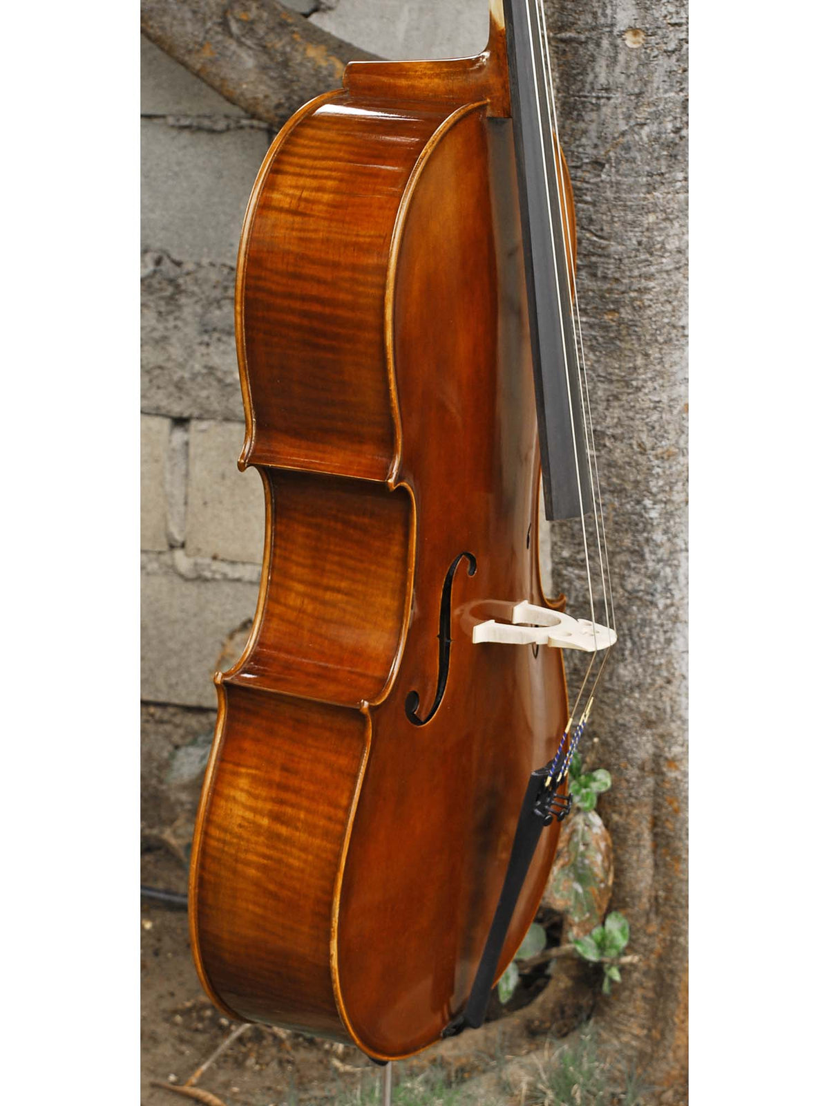 Vivo model 400 'Strad' 7/8 Cello
