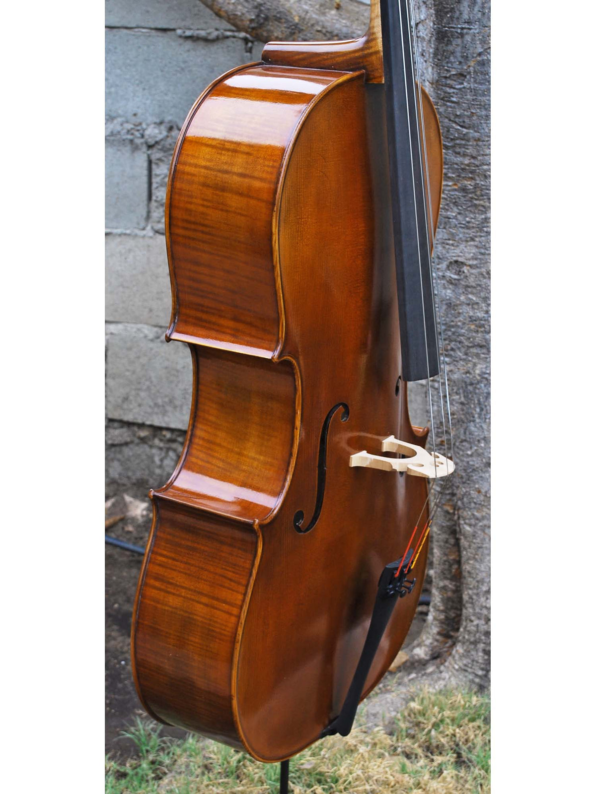 C.L. Wynn 620 'Rogeri' 4/4 Cello