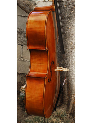 Eastman model 830 Poplar Gagliano pattern 4/4 Cello