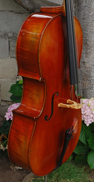 Vivo Limited 7/8 Cello