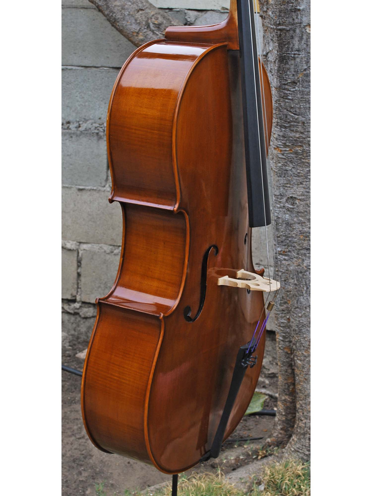 C.L. Wynn 520 'Strad' 7/8 Cello