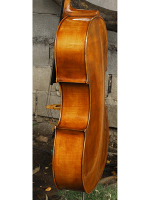 Eastman model 830 Poplar 4/4 Cello