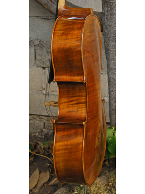 Vivo Zetoni model 300 4/4 Cello