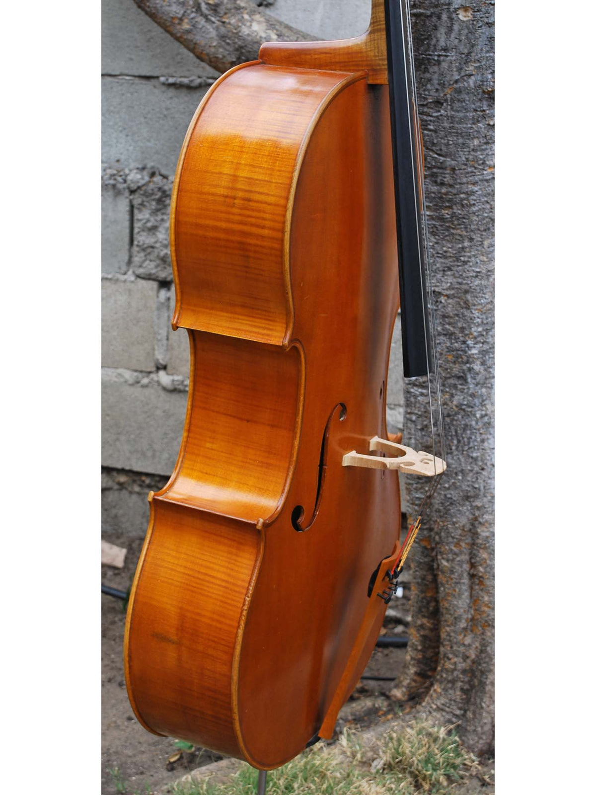 A.D. McDermott 1980's - 4/4 Cello