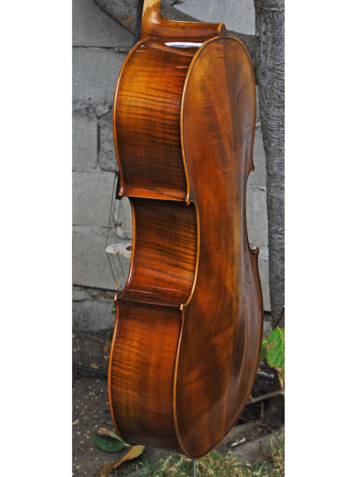 Vivo model 400 Strad 4/4 Cello (A)