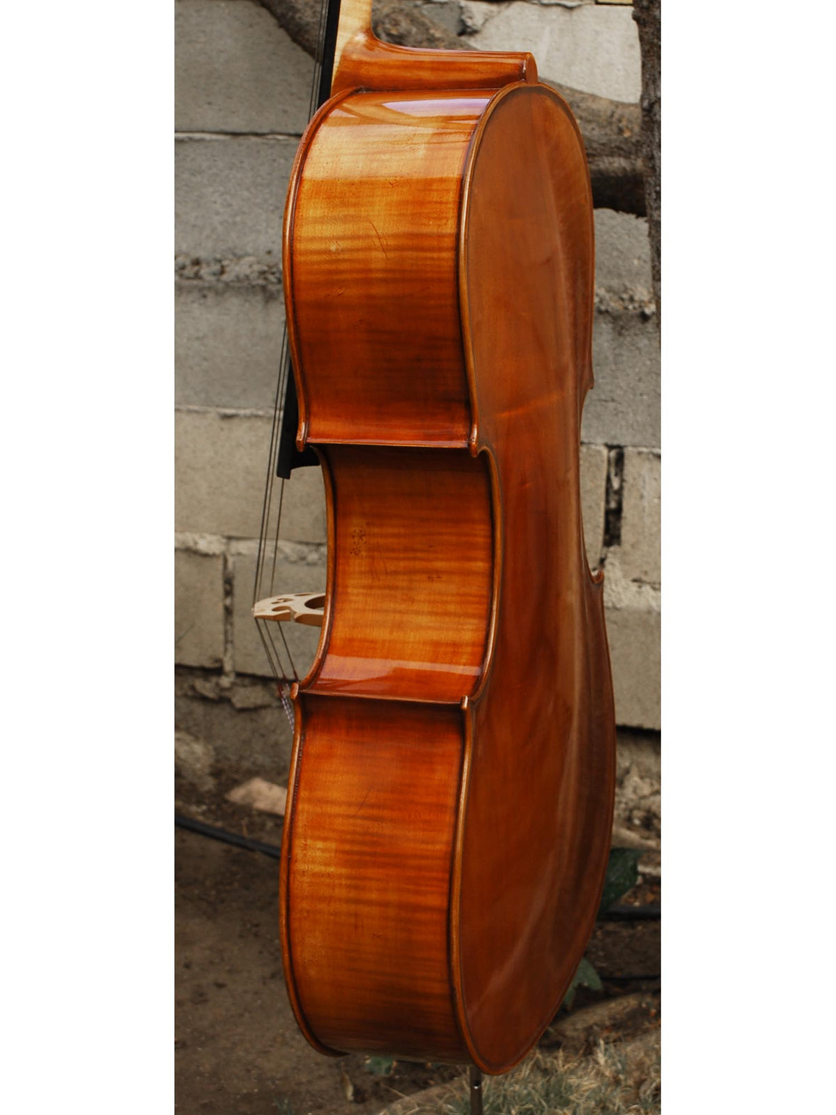 Eastman model 830 Poplar Gagliano pattern 4/4 Cello