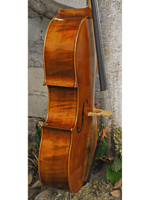 Vivo Zetoni model 300 4/4 Cello