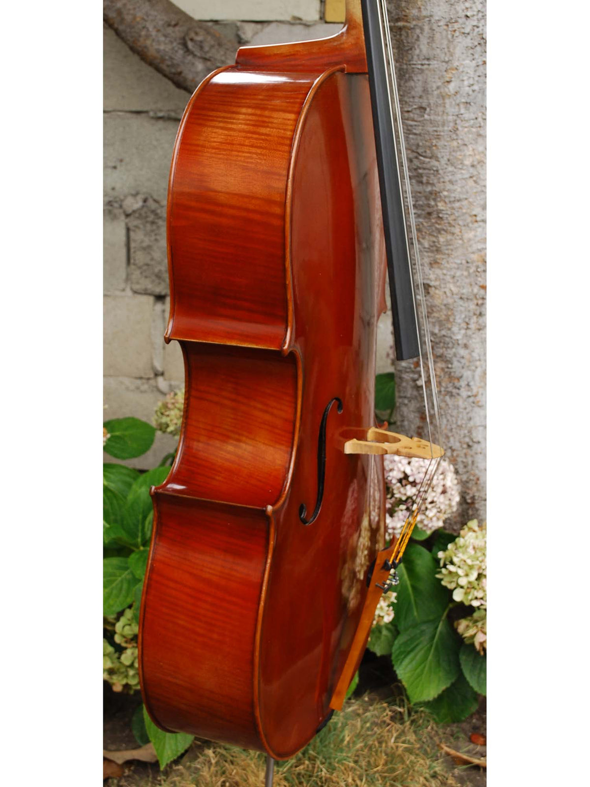 Zhen Jie Zhao Master 'Sleeping Beauty Montagnana' 4/4 Cello