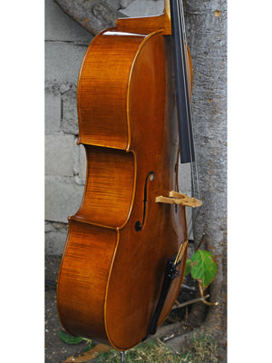 Vivo 'King Amati' 4/4 Cello