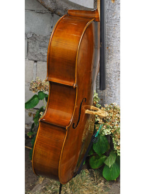 Eastman model 405 'Strad'  - 4/4 Cello