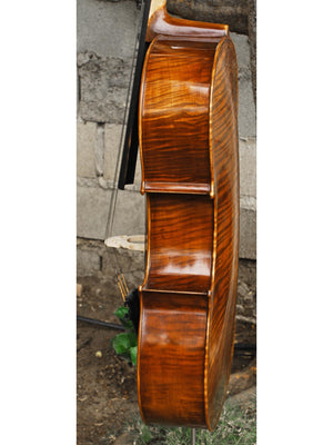 Vivo Strad model 100 3/4 Cello