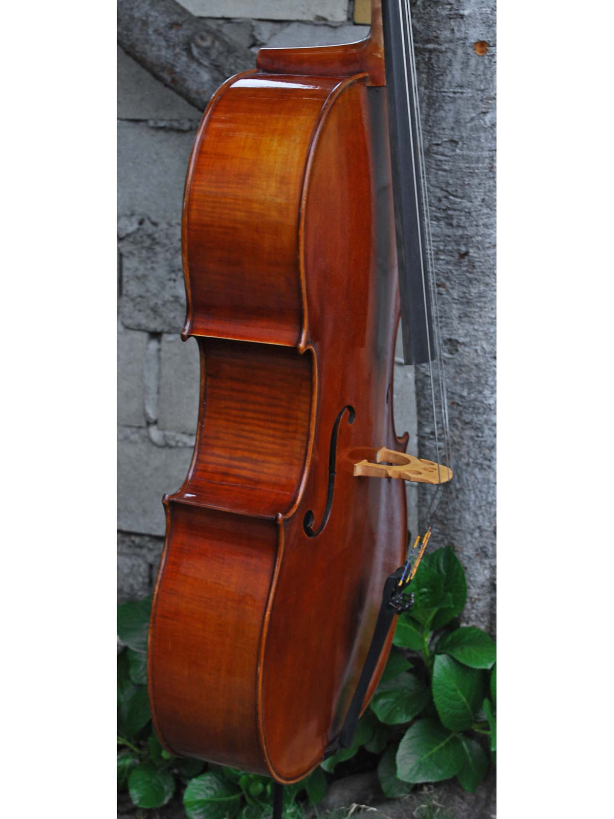 Vivo Strad model 250 3/4 Cello - slightly used