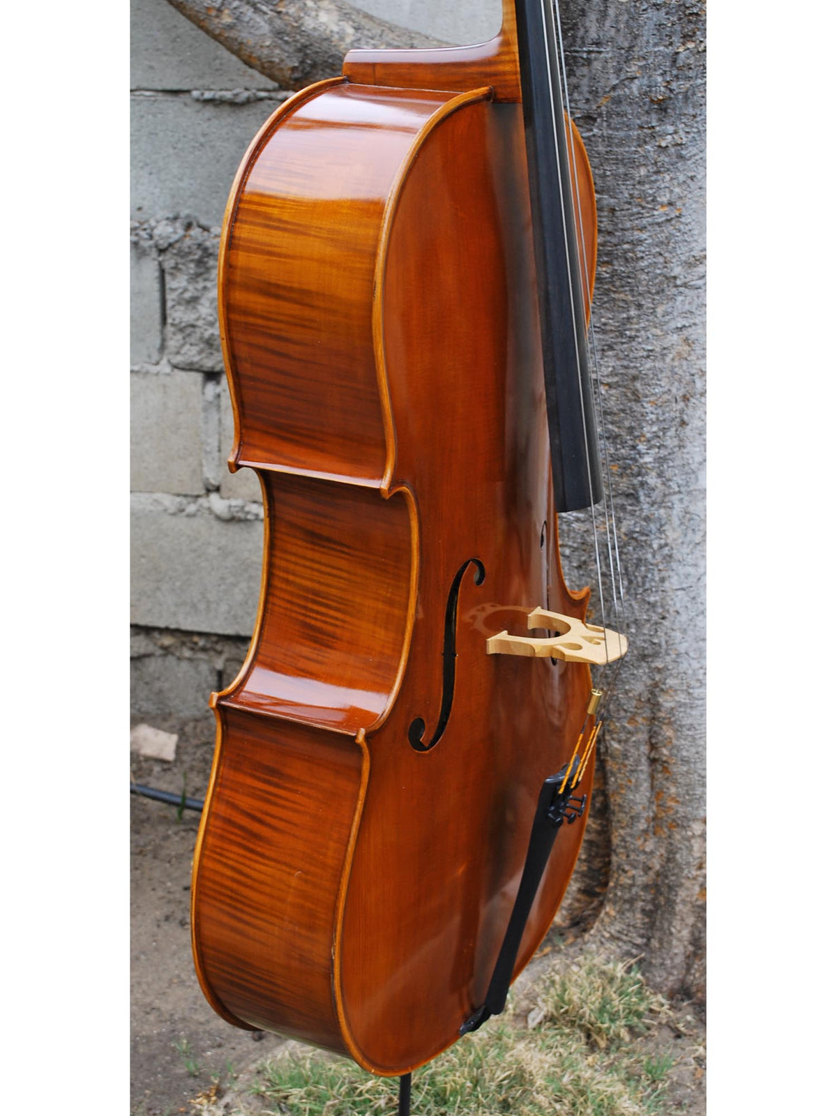 Wilhelm Klier Model 702 'Guarneri del Gesu' 4/4 Cello