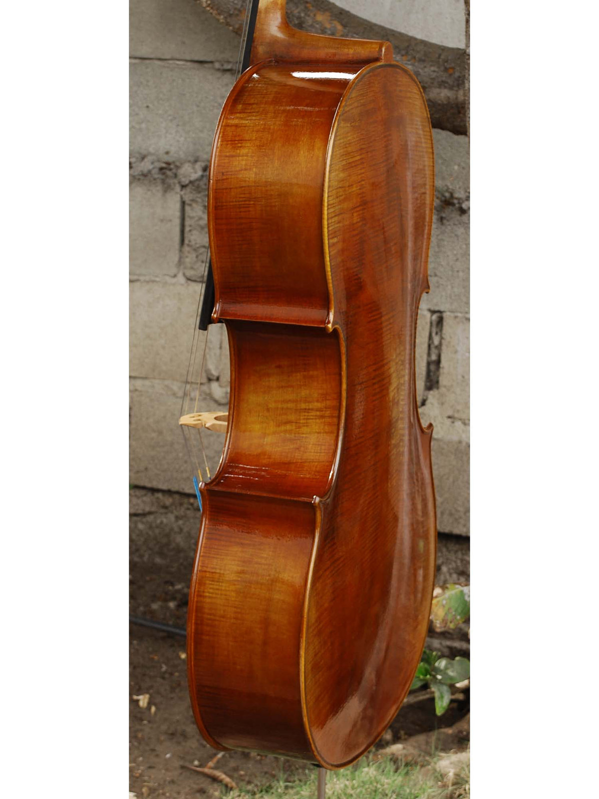 Vivo 200 '1710 Strad' 4/4 Cello