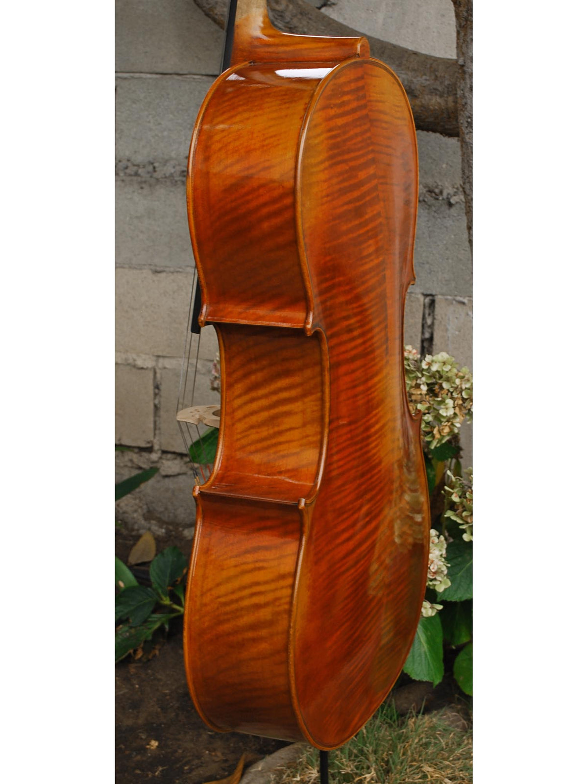 Sheng Liu #7 4/4 Cello