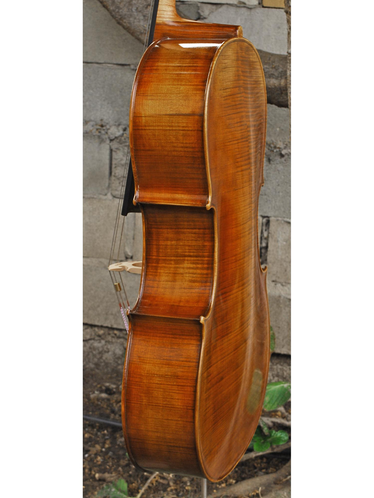 Tomasz Kowalski Workshop 7/8 Cello